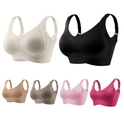 3-Pack Women's Solid Color Four-Row Hook Adjustable Wire-Free Bra